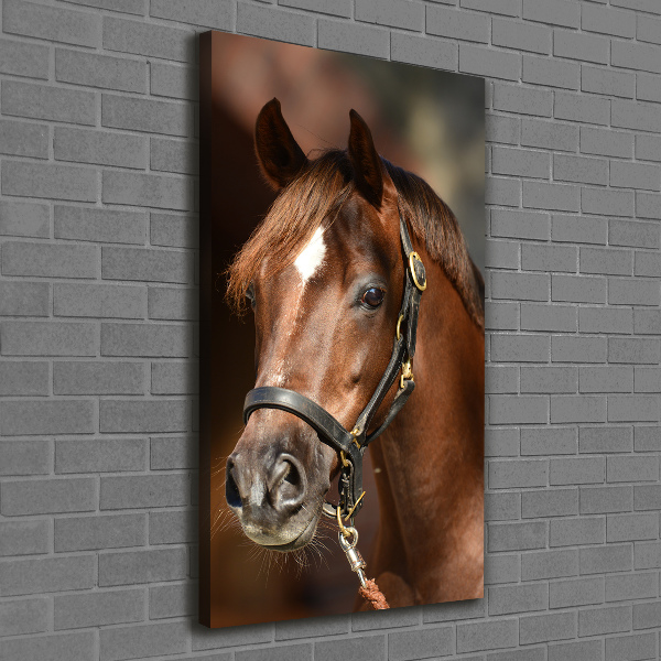 Cuadro canvas decorativo para salón vertical Retrato de un caballo