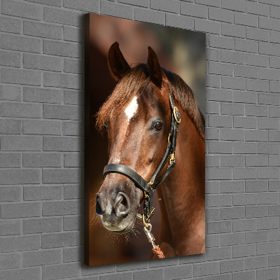 Cuadro canvas decorativo para salón vertical Retrato de un caballo