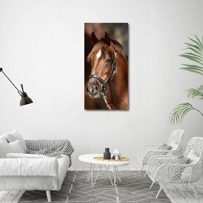 Cuadro canvas decorativo para salón vertical Retrato de un caballo