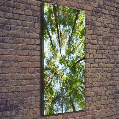 Fotografía en lienzo vertical Corona del árbol