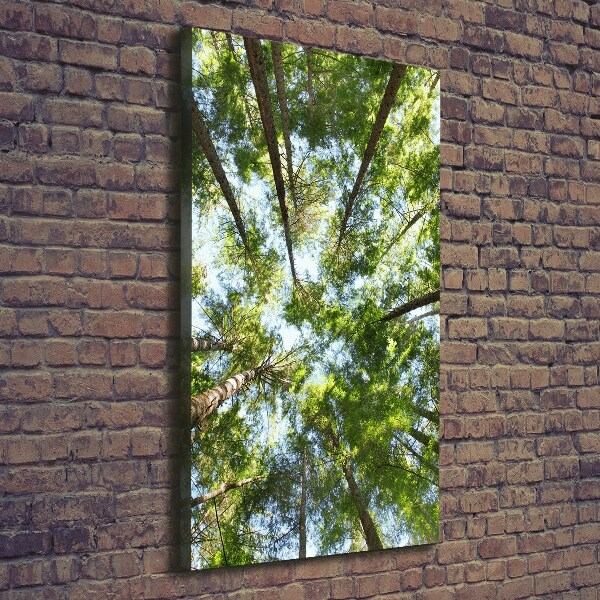 Fotografía en lienzo vertical Corona del árbol