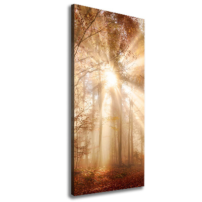 Cuadro moderno en lienzo resistente uv vertical Bosque en otoño