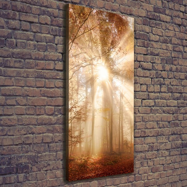 Cuadro moderno en lienzo resistente uv vertical Bosque en otoño