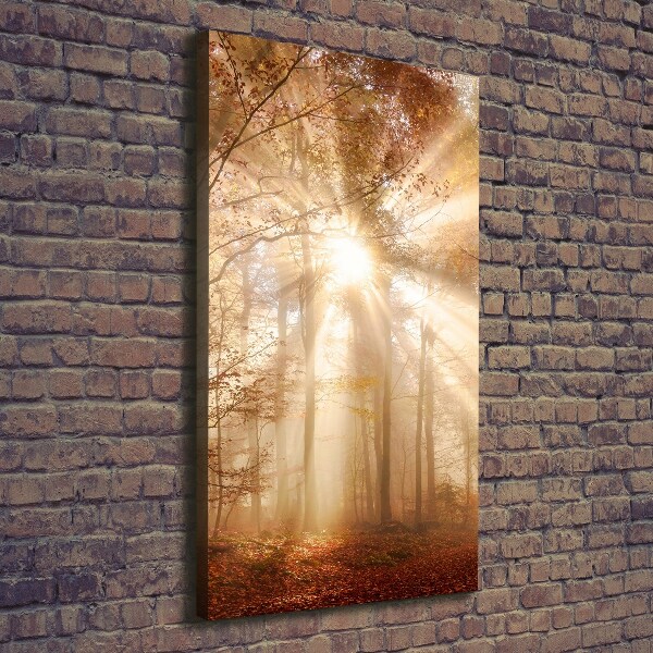Cuadro moderno en lienzo resistente uv vertical Bosque en otoño