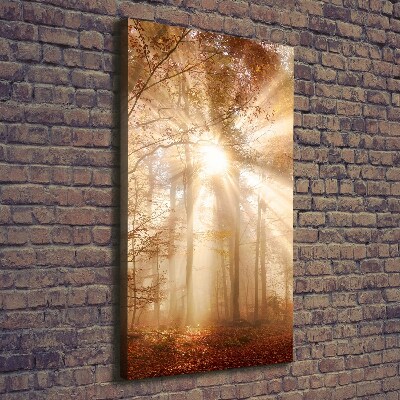 Cuadro moderno en lienzo resistente uv vertical Bosque en otoño