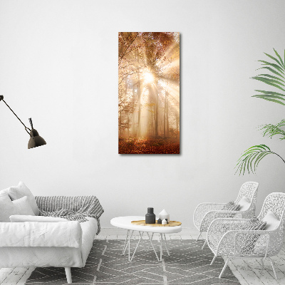 Cuadro moderno en lienzo resistente uv vertical Bosque en otoño