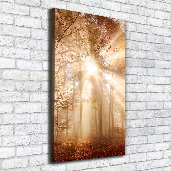 Cuadro moderno en lienzo resistente uv vertical Bosque en otoño