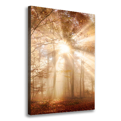 Cuadro moderno en lienzo resistente uv vertical Bosque en otoño
