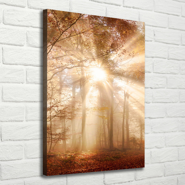 Cuadro moderno en lienzo resistente uv vertical Bosque en otoño