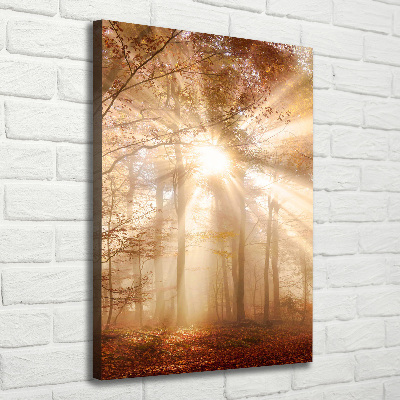 Cuadro moderno en lienzo resistente uv vertical Bosque en otoño