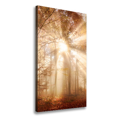Cuadro moderno en lienzo resistente uv vertical Bosque en otoño