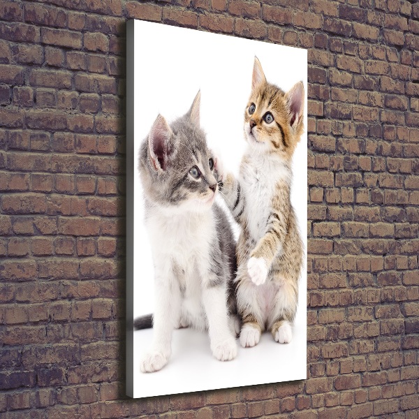 Fotografía en lienzo vertical Dos pequeños gatos