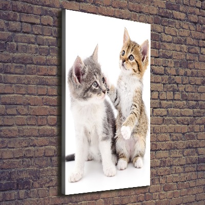 Fotografía en lienzo vertical Dos pequeños gatos