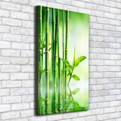 Foto obraz na płótnie pionowy Bambus w wodzie