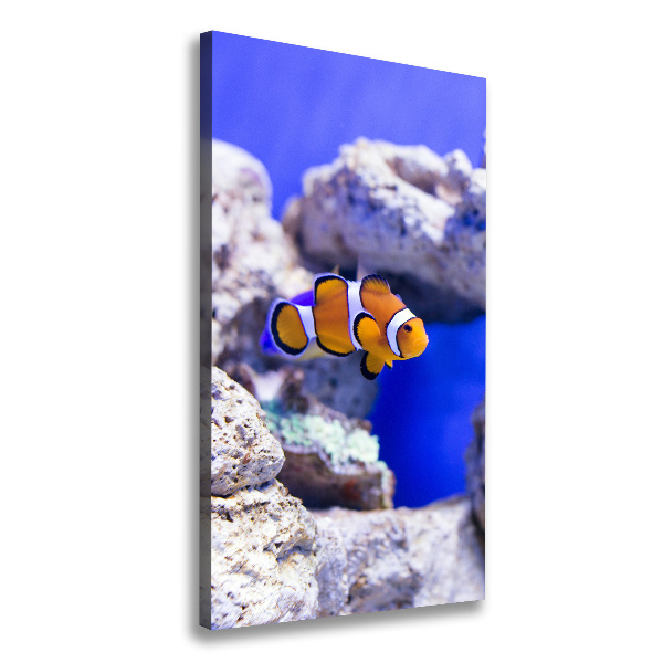 Cuadro moderno en lienzo resistente uv vertical Nemo el pez