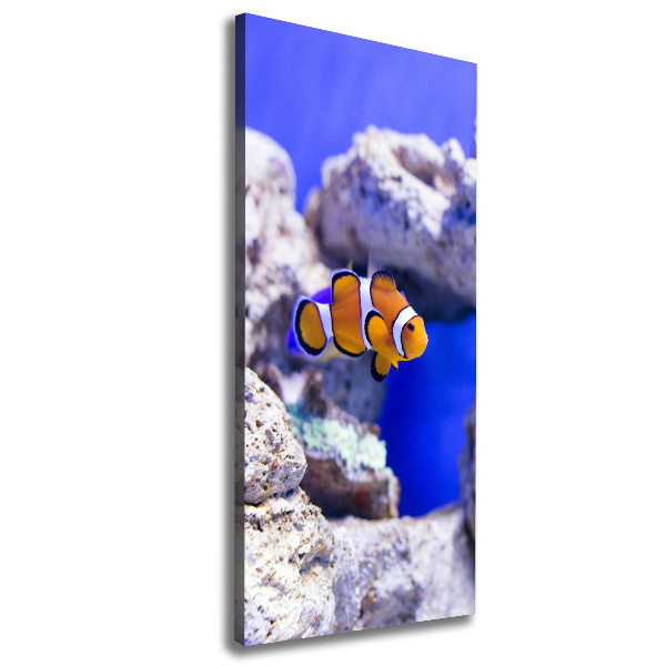 Cuadro moderno en lienzo resistente uv vertical Nemo el pez