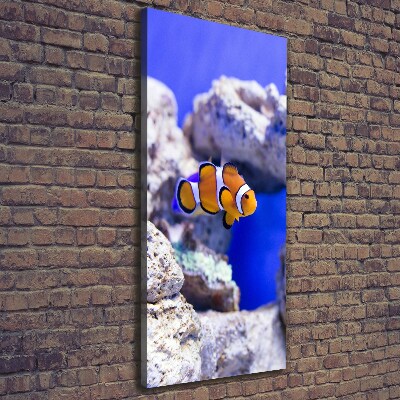 Cuadro moderno en lienzo resistente uv vertical Nemo el pez