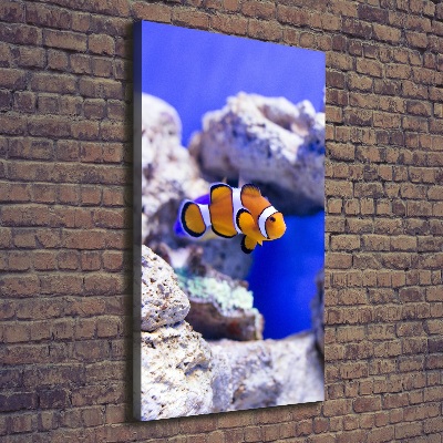 Cuadro moderno en lienzo resistente uv vertical Nemo el pez