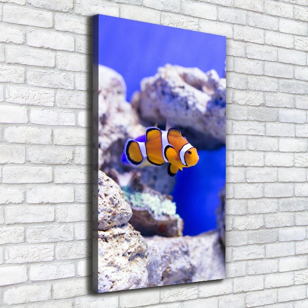 Cuadro moderno en lienzo resistente uv vertical Nemo el pez
