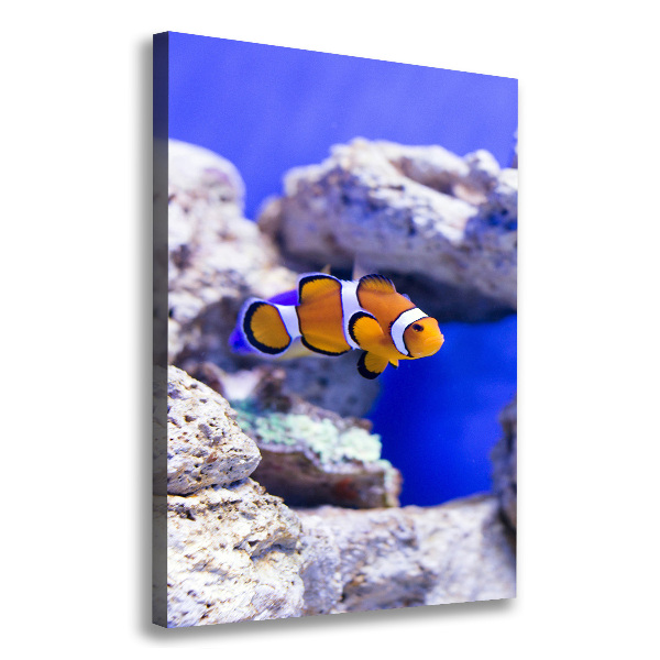 Cuadro moderno en lienzo resistente uv vertical Nemo el pez