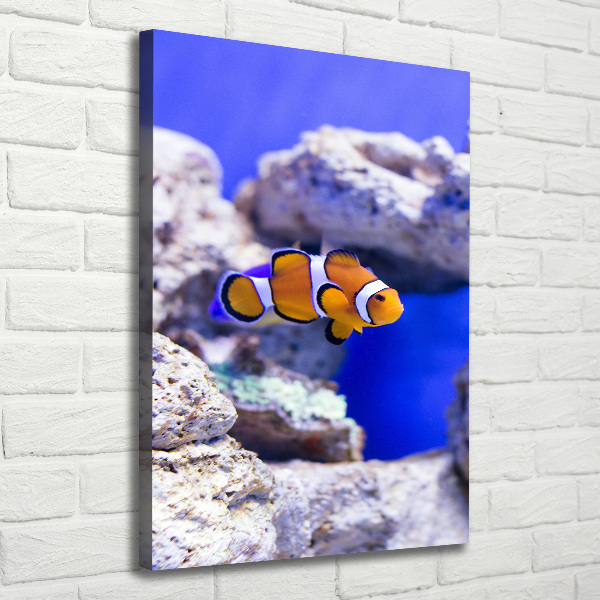 Cuadro moderno en lienzo resistente uv vertical Nemo el pez