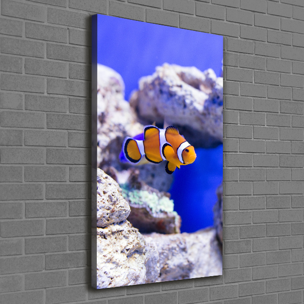 Cuadro moderno en lienzo resistente uv vertical Nemo el pez