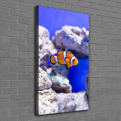 Cuadro moderno en lienzo resistente uv vertical Nemo el pez
