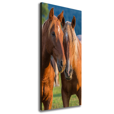 Impresión en lienzo vertical Dos caballos