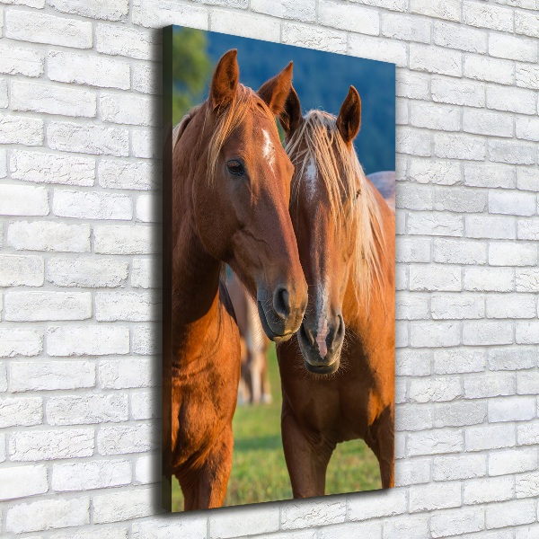 Impresión en lienzo vertical Dos caballos