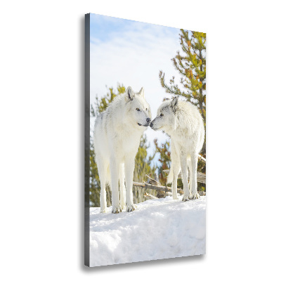 Fotografía en lienzo vertical Dos lobos blancos