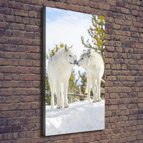 Fotografía en lienzo vertical Dos lobos blancos