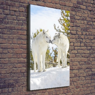 Fotografía en lienzo vertical Dos lobos blancos