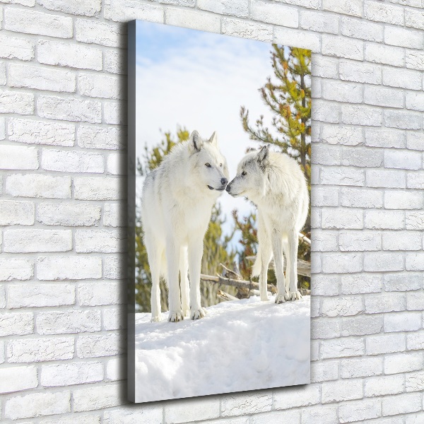 Fotografía en lienzo vertical Dos lobos blancos