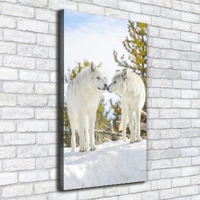 Fotografía en lienzo vertical Dos lobos blancos