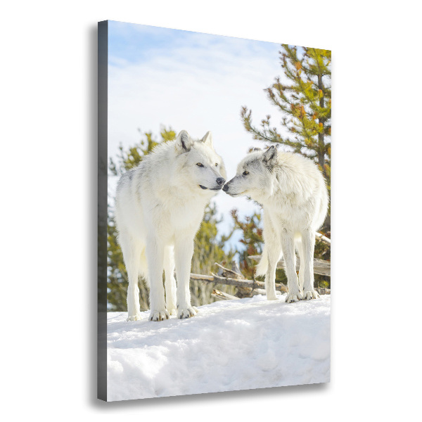 Fotografía en lienzo vertical Dos lobos blancos