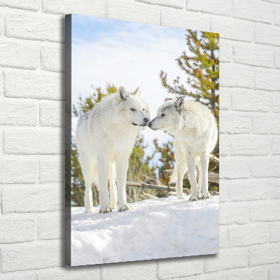 Fotografía en lienzo vertical Dos lobos blancos