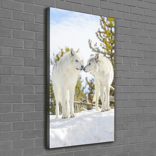 Fotografía en lienzo vertical Dos lobos blancos