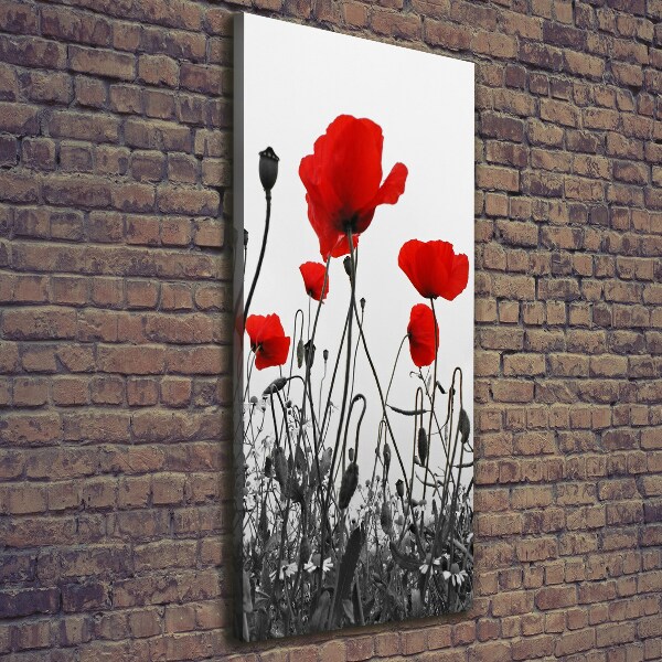Cuadro canvas decorativo para salón vertical Amapolas de campo