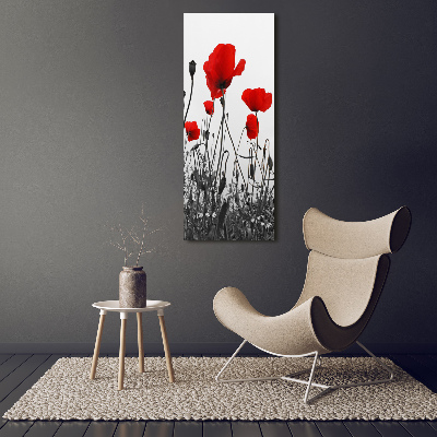 Cuadro canvas decorativo para salón vertical Amapolas de campo