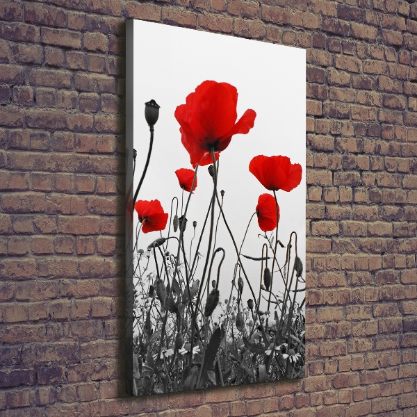 Cuadro canvas decorativo para salón vertical Amapolas de campo