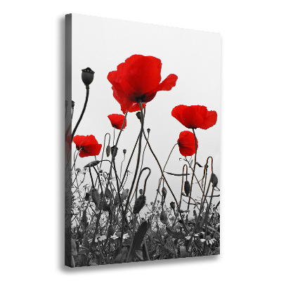 Cuadro canvas decorativo para salón vertical Amapolas de campo