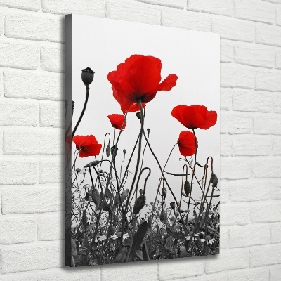 Cuadro canvas decorativo para salón vertical Amapolas de campo