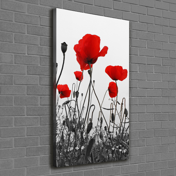 Cuadro canvas decorativo para salón vertical Amapolas de campo