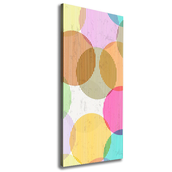Cuadro canvas decorativo para salón vertical Círculos de colores
