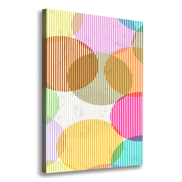 Cuadro canvas decorativo para salón vertical Círculos de colores