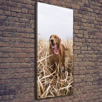 Cuadro moderno en lienzo resistente uv vertical Perro perdiguero de oro
