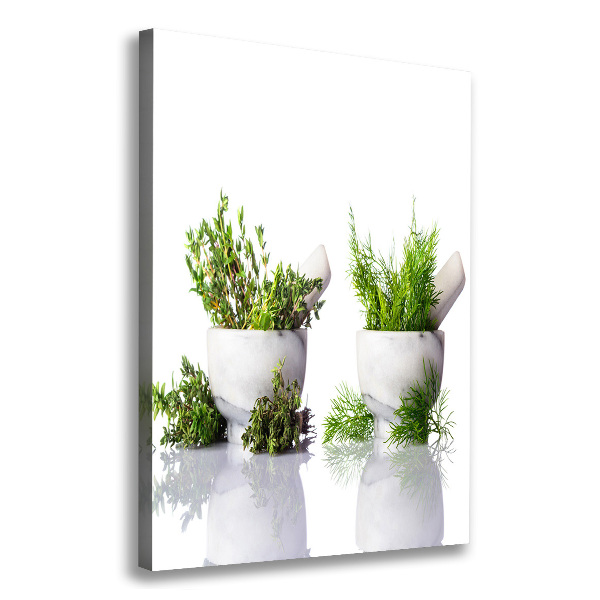 Impresión en lienzo vertical Morteros y hierbas