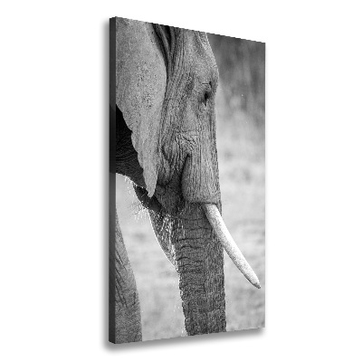 Fotografía en lienzo vertical Elefante