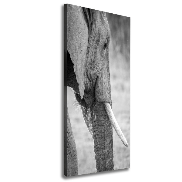 Fotografía en lienzo vertical Elefante