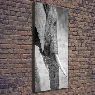 Fotografía en lienzo vertical Elefante